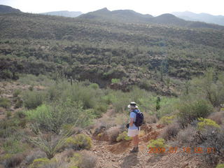 Elephant Mountain hike