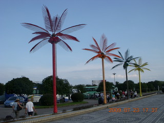 70 6xp. China eclipse - Guilin airport - metal palm trees