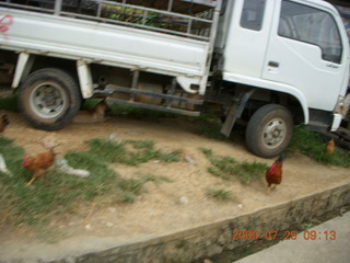 104 6xr. China eclipse - Yangshuo bicycle ride - chickens