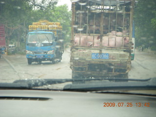 222 6xr. China eclipse - drive in the rain from Yangshuo to Guilin - pigs