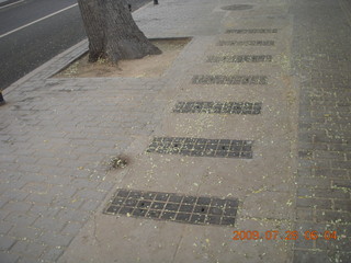 11 6xu. China eclipse - Beijing morning run - porta-potty holes in sidewalk