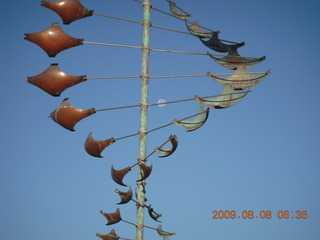 China eclipse - Mango's pictures - Adam on boat ride at West Lake