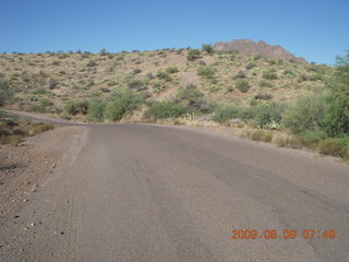 Superior Airport (E81) run - horses