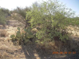 Superior Airport (E81) run