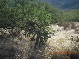 Superior Airport (E81) run