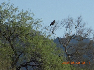 Superior Airport (E81) run