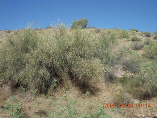 Superior Airport (E81) run