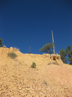 108 702. Bryce Canyon amphitheater hike