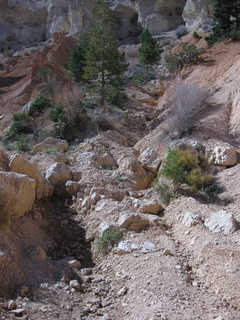 153 702. Bryce Canyon amphitheater hike