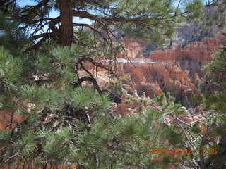 189 702. Bryce Canyon amphitheater hike