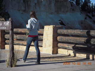 220 702. Bryce Canyon - young lady and raven