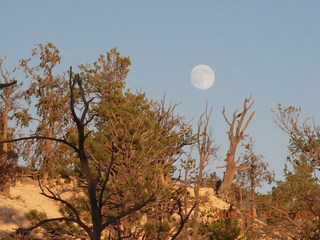 236 702. Bryce Canyon - moonrise