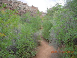 Escalante - Calf Creek trail