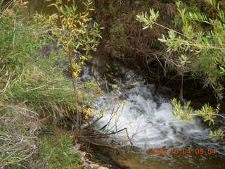 57 704. Escalante - Calf Creek trail