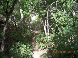 65 704. Escalante - Calf Creek trail
