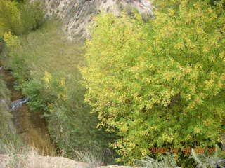 Escalante - Calf Creek trail