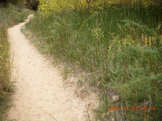 99 704. Escalante - Calf Creek trail