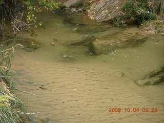 109 704. Escalante - Calf Creek trail - waterfall creek