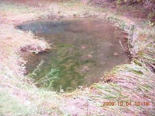 129 704. Escalante - Calf Creek trail - pond