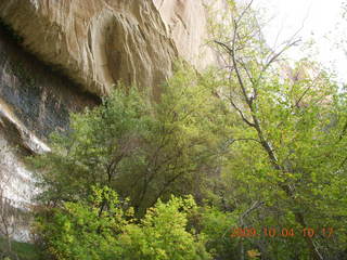 134 704. Escalante - Calf Creek trail - waterfall area