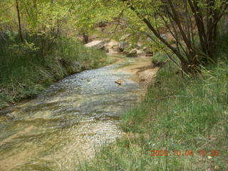 142 704. Escalante - Calf Creek trail