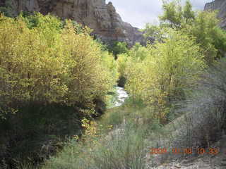 143 704. Escalante - Calf Creek trail
