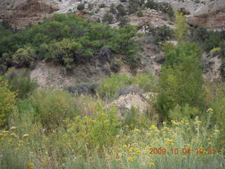 149 704. Escalante - Calf Creek trail