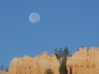 Bryce Canyon - rim from Fairyland to Sunrise - moon in trees