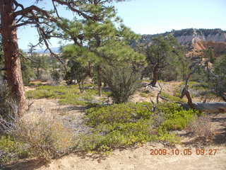 74 705. Bryce Canyon - Fairyland trail