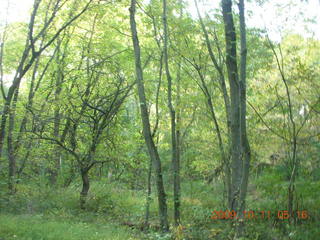 Pennypack Park run