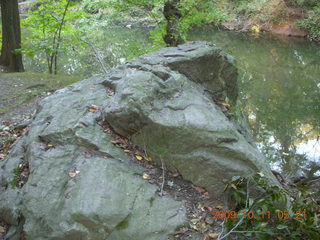 Pennypack Park run