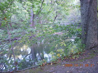 Pennypack Park run