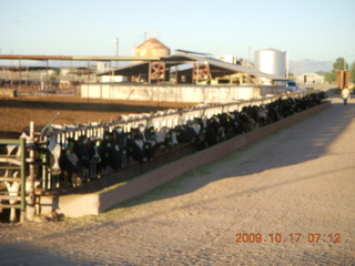 Chandler Airport (CHD) run along canal