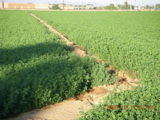 Chandler Airport (CHD) run along canal