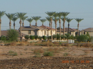 Chandler Airport (CHD) run along canal - palm trees