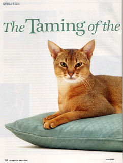 _Scientific American_ all about cats