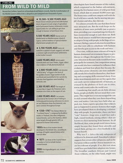 _Scientific American_ all about cats