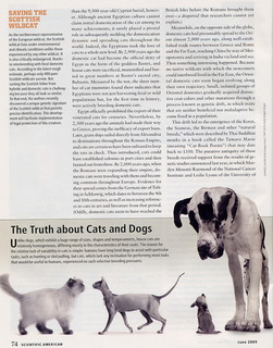 _Scientific American_ all about cats