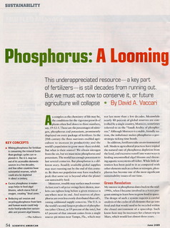 _Scientific American_ Phosphorus: A Looming Crisis