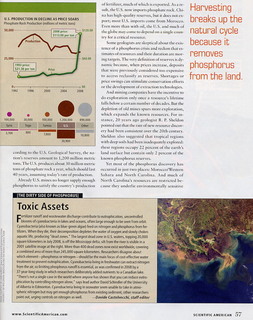 _Scientific American_ Phosphorus: A Looming Crisis