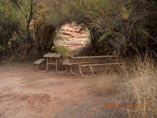 Lathrop trail hike - picnic tables neare Colorado River