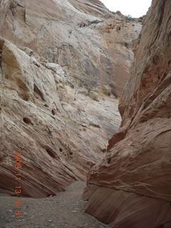 76 71d. Little Wild Horse Pass slot-canyon hike
