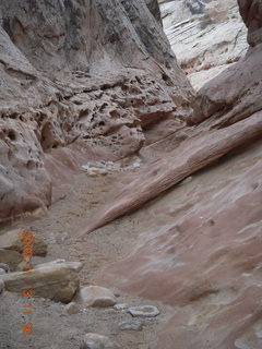 134 71d. Little Wild Horse Pass slot-canyon hike