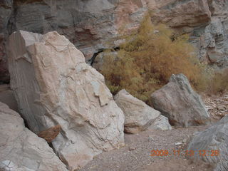 181 71d. Little Wild Horse Pass slot-canyon hike