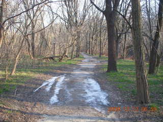 Pennypack Park run - ice