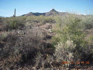 Red Creek hike