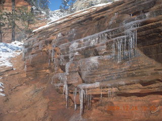 Zion National Park - west rim hike - icicles