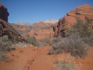 Snow Canyon State Park brochure
