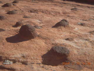 204 72r. Snow Canyon State Park - Petrified Sand Dunes trail - nodules on rock close up