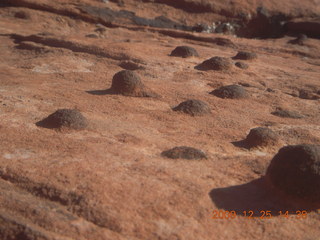 205 72r. Snow Canyon State Park - Petrified Sand Dunes trail - nodules on rock close up